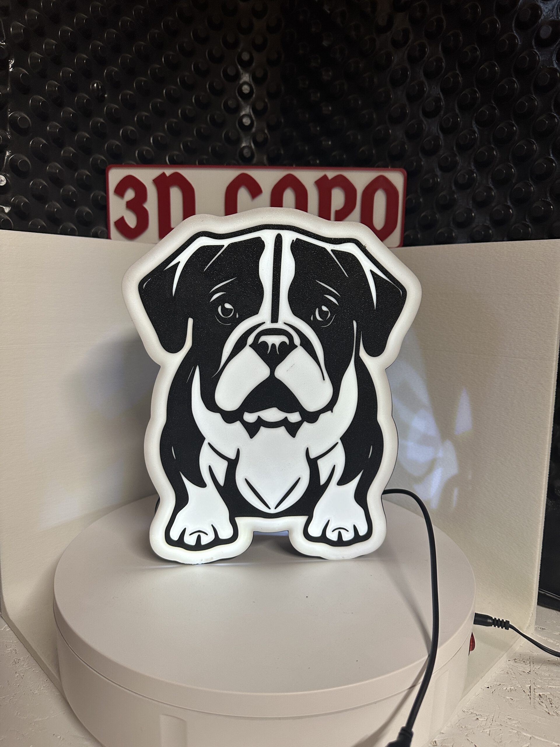 Lightbox "Englische Bulldogge" – Bild 2