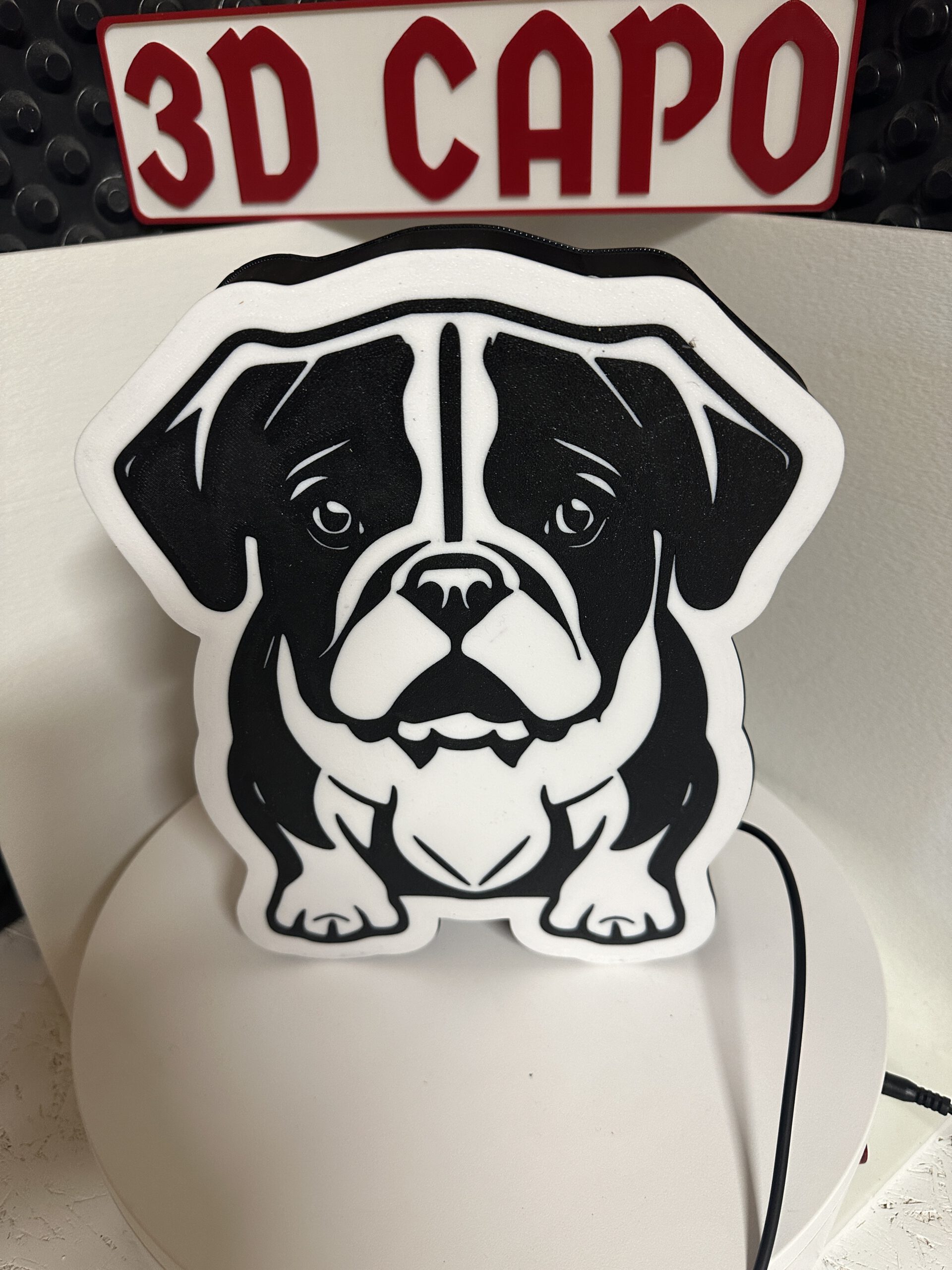 Lightbox "Englische Bulldogge" – Bild 3