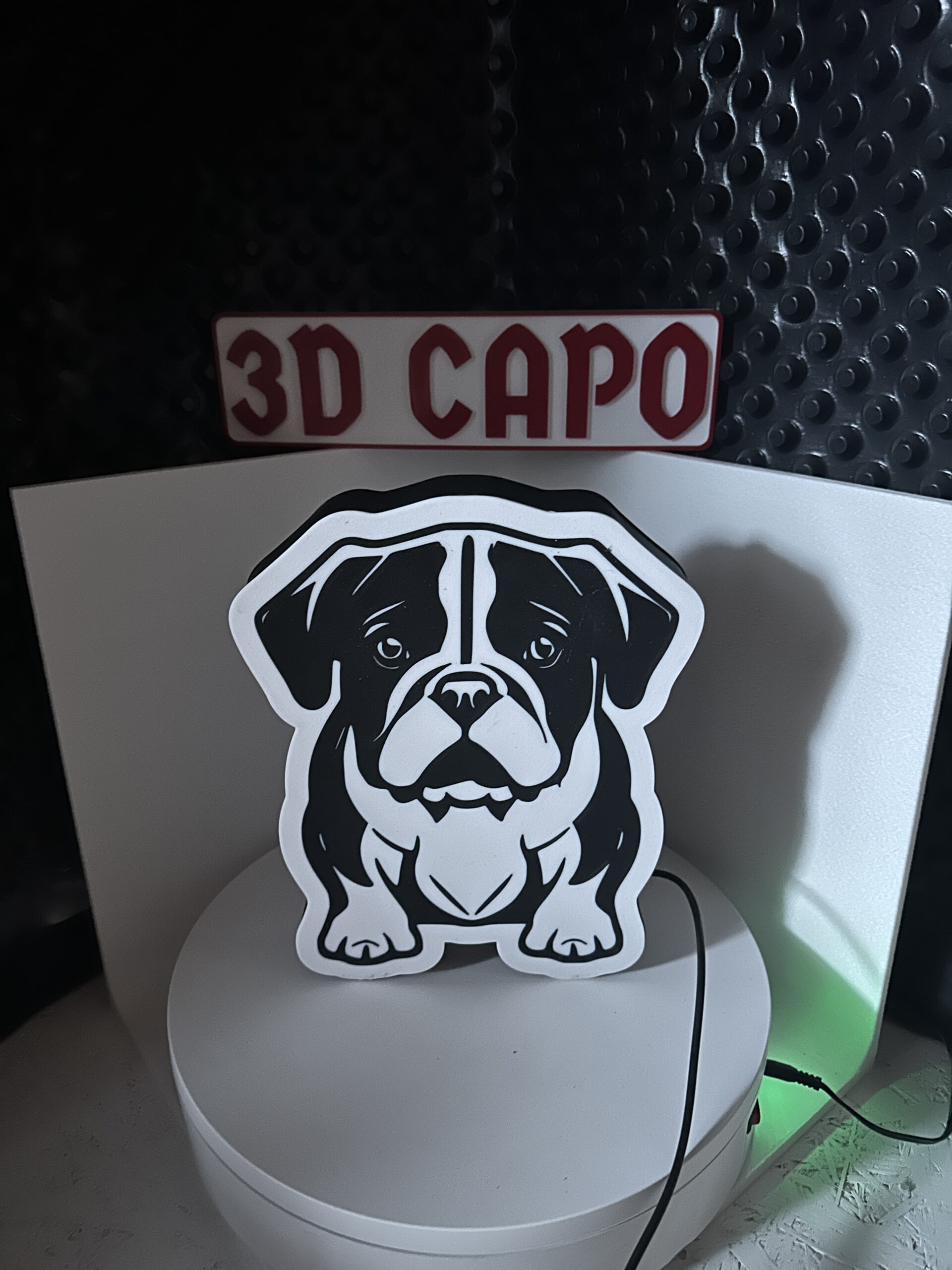 Lightbox "Englische Bulldogge" – Bild 4