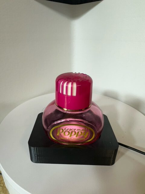 Poppyhalter für LKW LED Mehrfarbig u. Fernbedienung – Bild 10